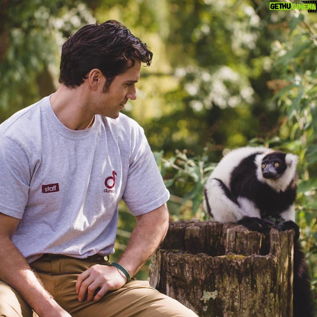 Henry Cavill Instagram - Different years, different gears, and even a superteam slaying moustache! All during the Durrell Challenge. Which, once again, fast approaches. For those not in the know, The Durrell Wildlife Conservation Trust is a charity that focuses on saving animal species that are on the brink of extinction. And you lucky folks have the opportunity to help out said, adorable, nigh extinct little beasties by running The Challenge and raising some always appreciated funds for them! You can take part virtually or go to Jersey in person and visit the famous Jersey Zoo itself! It's a 13km run and it will take place on Sunday 22 May in Jersey or, if you are running it virtually you can do so from Friday 20 May to Monday 23 May. All the deets are in my bio! @TheDurrellChallenge @Durrell_JerseyZoo #DoItForDurrell #DurrellChallenge2022