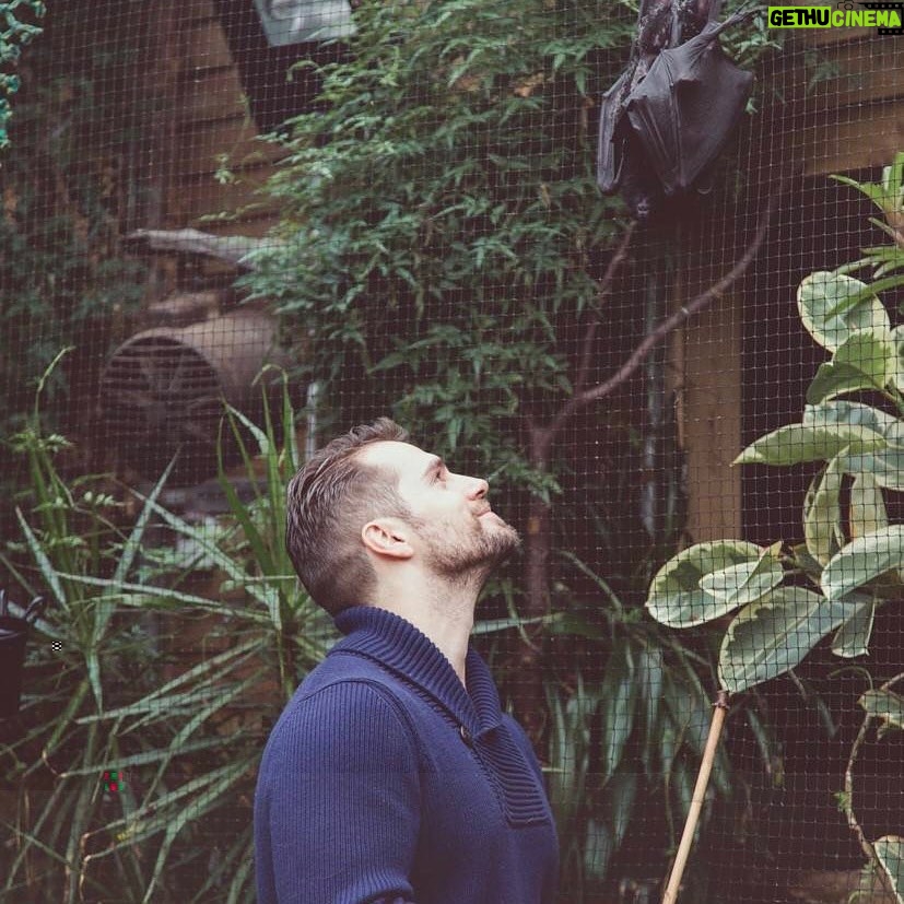 Henry Cavill - 2.2 Million Likes - Different years, different gears, and even a superteam slaying moustache! All during the Durrell Challenge. Which, once again, fast approaches.
For those not in the know, The Durrell Wildlife Conservation Trust is a charity that focuses on saving animal species that are on the brink of extinction. And you lucky folks have the opportunity to help out said, adorable, nigh extinct little beasties by running The Challenge and raising some always appreciated funds for them!
You can take part virtually or go to Jersey in person and visit the famous Jersey Zoo itself! It's a 13km run and it will take place on Sunday 22 May in Jersey or, if you are running it virtually you can do so from Friday 20 May to Monday 23 May.
All the deets are in my bio!
@TheDurrellChallenge
@Durrell_JerseyZoo
#DoItForDurrell
#DurrellChallenge2022