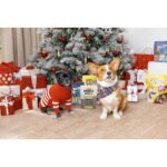 Hilary Duff Instagram - Happy Purina Pawlidays! 🎄🎁 #ad Momo and Ham have been sniffing around the tree lately trying to find their prezzies from @purina Treats! Shopping for them was so easy this year thanks to @target having everything I needed. Don’t forget to snag your dog and cat treats on your next Target run and shower your furry friends with extra love this pawliday season ❤️ #PurinaTreatsPartner #TargetStyle #PurinaPawlidays