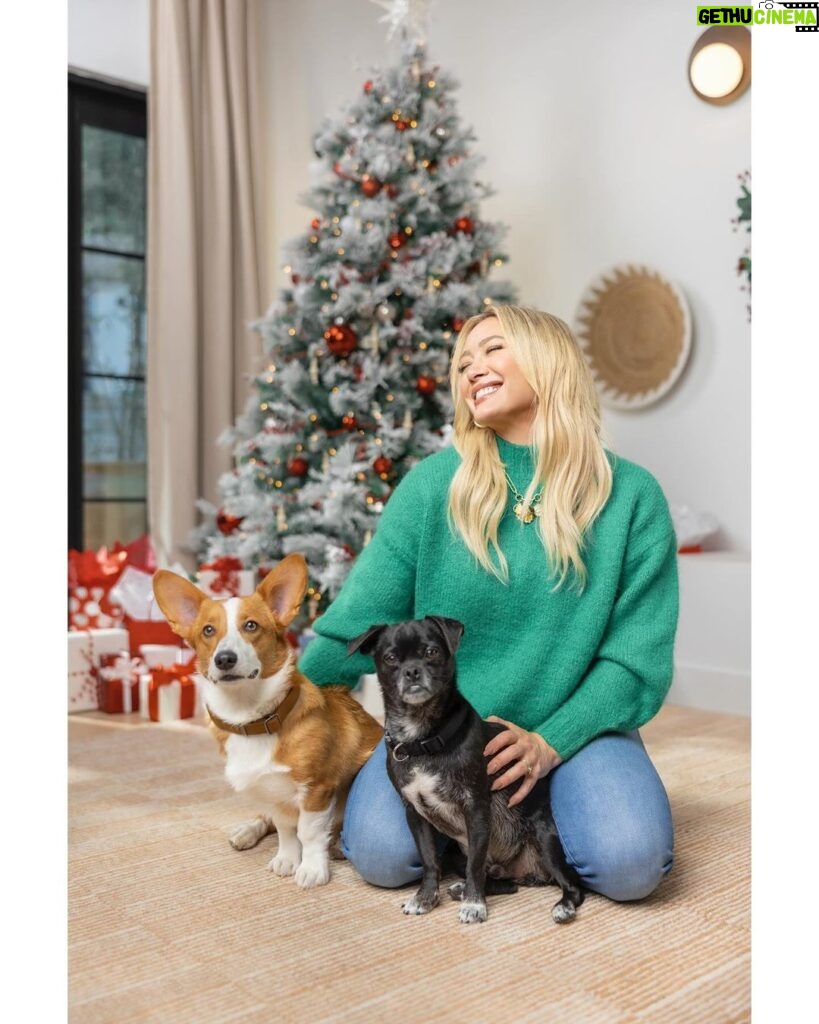 Hilary Duff Instagram - Happy Purina Pawlidays! 🎄🎁 #ad Momo and Ham have been sniffing around the tree lately trying to find their prezzies from @purina Treats! Shopping for them was so easy this year thanks to @target having everything I needed. Don’t forget to snag your dog and cat treats on your next Target run and shower your furry friends with extra love this pawliday season ❤ #PurinaTreatsPartner #TargetStyle #PurinaPawlidays