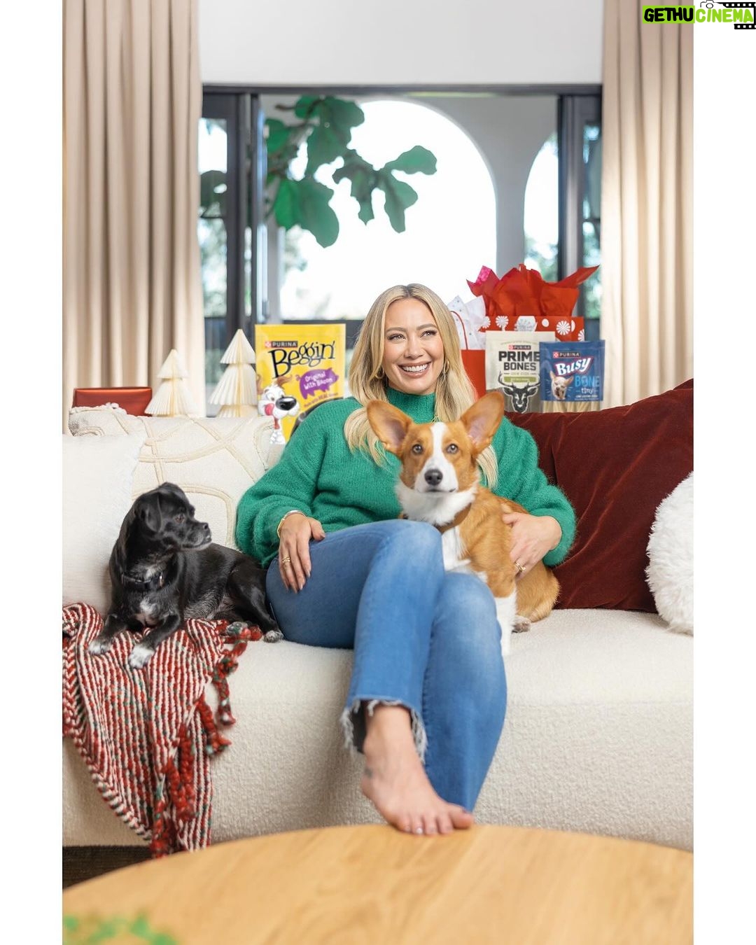 Hilary Duff Instagram - Happy Purina Pawlidays! ππ #ad Momo and Ham have been sniffing around the tree lately trying to find their prezzies from @purina Treats! Shopping for them was so easy this year thanks to @target having everything I needed. Donβt forget to snag your dog and cat treats on your next Target run and shower your furry friends with extra love this pawliday season β€οΈ #PurinaTreatsPartner #TargetStyle #PurinaPawlidays