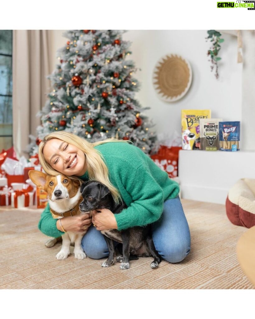 Hilary Duff Instagram - Happy Purina Pawlidays! 🎄🎁 #ad Momo and Ham have been sniffing around the tree lately trying to find their prezzies from @purina Treats! Shopping for them was so easy this year thanks to @target having everything I needed. Don’t forget to snag your dog and cat treats on your next Target run and shower your furry friends with extra love this pawliday season ❤️ #PurinaTreatsPartner #TargetStyle #PurinaPawlidays