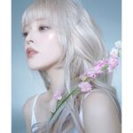 Honoka Yahagi Instagram - とっても綺麗に撮っていただきました🤍 今までの私とは違う雰囲気でそれもまた良きかなと☺️ 黒髪にした時にまた撮ってみたいっ！