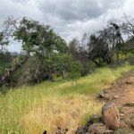 Hugh Jackman Instagram – Stay on the trail.