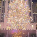 Hugh Jackman Instagram - 🎄
