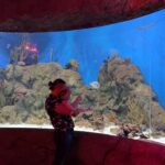 Humberto Solano Instagram - 🐟 Aquarium Time 🐠 #fun #weekend #family #familia #aqua #water #friday #viral #reels ICON Park