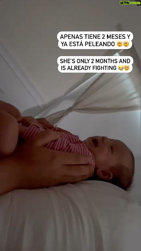 Humberto Solano Instagram - 🤯 ya salió respondona y apenas tiene 2 meses 🤯 que nos espera She’s only 2 months and she’s already fighti.. 🤯 😂 #baby #daughter #sunday #familia #familytime #viral #video #reels #lovequotes