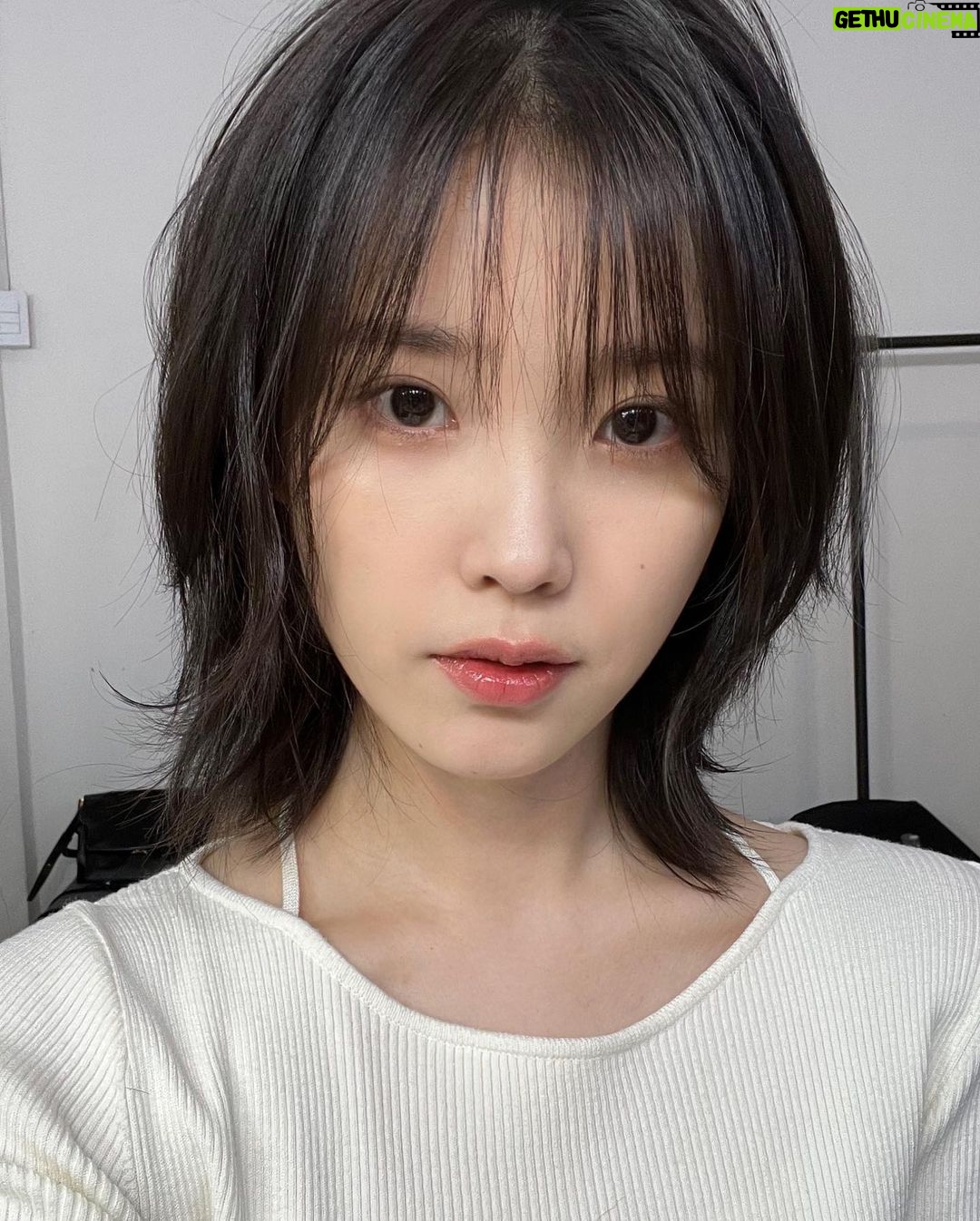 IU Instagram - #드림 개봉 기념! 드림 홍보 스케줄 사진들🌱 내 퍼스널컬러 #드림