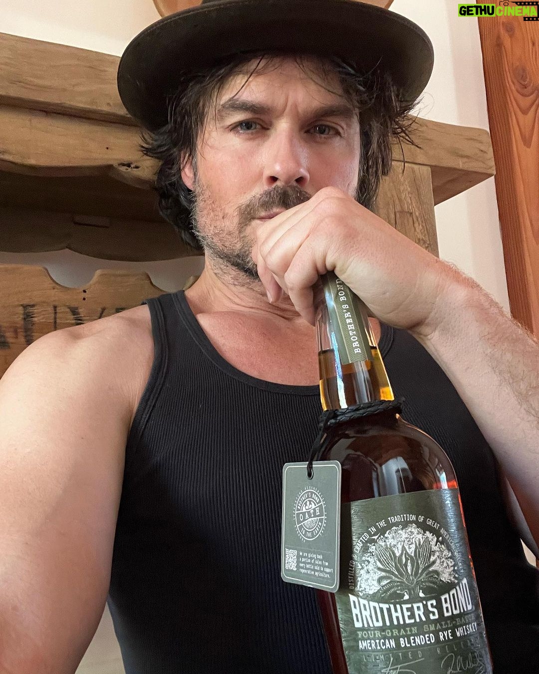Ian Somerhalder Instagram - A day of reflecting on gratitude. Being with friends and family sharing experience is important. Hopefully you can get out to have a walk in the fresh air whether you are in a city or immersed in nature. Our families congregate, as our world is on the brink of some very unsettling times and it is definitely a strange feeling. I hope love, reverence, gratitude and compassion can spin through this world like a swift hurricane. In the mean time, I’m training my mind/body/spirit, blending, formulating, tasting, feeling, testing flavor profiles and efficacy. This is who I am. I create. I formulate. I dream. My passion and knowledge base range from wellness to Whiskey to REGENERATIVE agriculture and I’m sticking to it, always pushing myself to be better. Stronger than my excuses. I’m excited to share it all with you and I hope you enjoy it all. Building solid, respectable yet disruptive companies to help usher in great change is important to me. I’m thankful to you all. Truly. Really. I’m thankful for my family and partners for being on this roller coaster ride with me. It’s not easy, but I know companies and consumers can drive the greatest change in the world the fastest. Period. It’s just a matter of HOW we build companies and HOW we consume… Enjoy a long holiday weekend and remember sometimes you just have to let your hair down and have a full on dance party in the kitchen or living room even if it’s 10 o’clock in the morning or 10 o’clock at night like no one is watching. Happy Thanksgiving America and everyone else out there. I am grateful for you all. Stay safe. Stay sane. Stay kind. Always remember this little equation that is as important and REAL as E=mc2 : Passion + Skill = Purpose Love, Ian