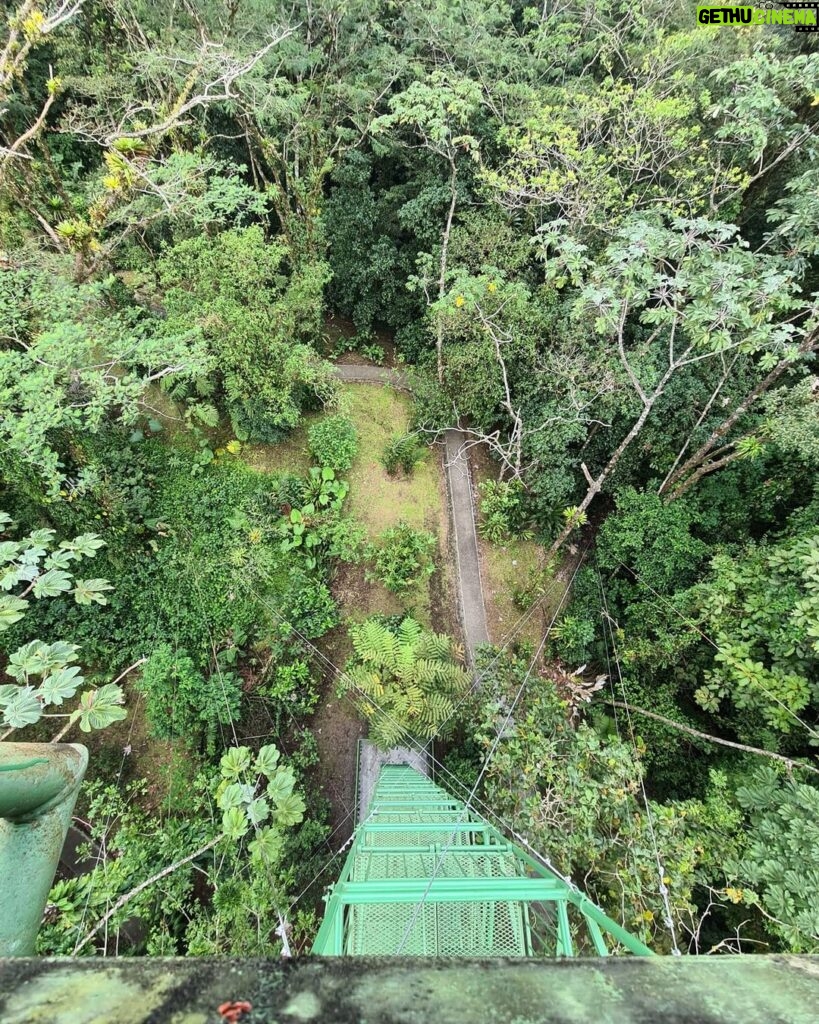 Inna Puhajkova Instagram - Chvíli to trvalo, než jsem se vyškrábala až nahoru, místama už jsem to dokonce vzdávala, ale ten výhled za to stál ⛰🙌 Kdo nemá rád výšky, tak mě jistojistě pochopí 🙈 #arenal #volcano #viewpoint #costarica #puravida Arenal Volcano