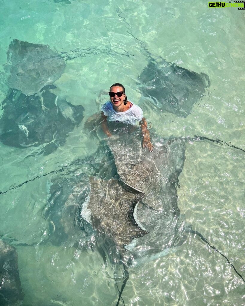 Inna Puhajkova Instagram - Another beautiful day in Paradise🫶🫶 #maldives #paradice #dreamsislands #fulidhoo #stingrays #beautifulcreatures #inlove #mademyday #traveltheworld #travelholic #bucketlist☑️ Fulidhoo Island - Vaavu Atoll - Maldives