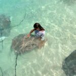 Inna Puhajkova Instagram - Another beautiful day in Paradise🫶🫶 #maldives #paradice #dreamsislands #fulidhoo #stingrays #beautifulcreatures #inlove #mademyday #traveltheworld #travelholic #bucketlist☑️ Fulidhoo Island - Vaavu Atoll - Maldives
