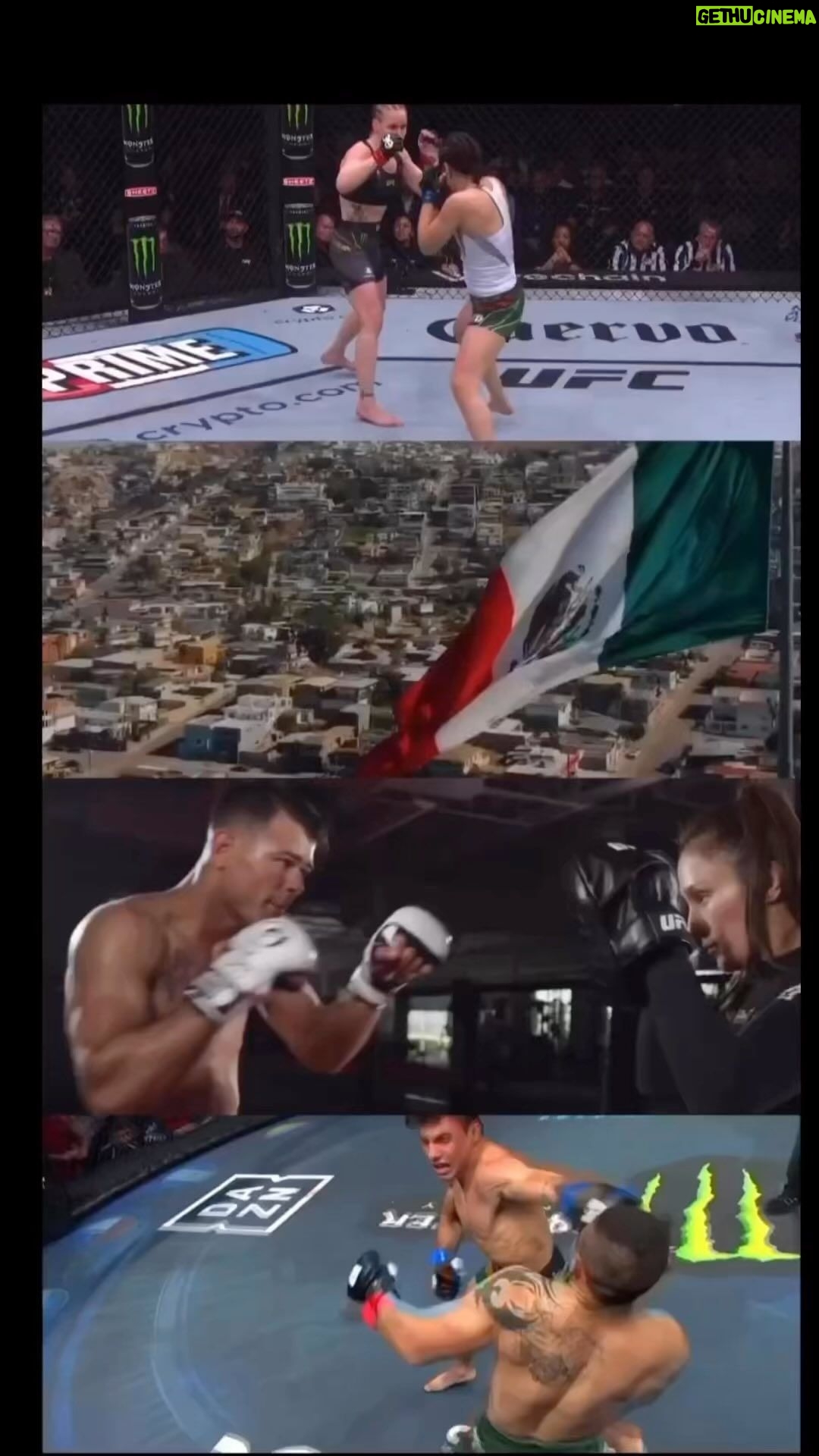 Irene Aldana - 7.1K Likes - 🇲🇽🤩😍🔥🐺🇧🇷
#reel @train_by_day
#repost @alexa_grasso
#mexico #brasil #lobomma #brazilianwarriors #team #teanmates #ufc #athlete #hechoenmexico #pride #alexagrasso #diegolopes #alessandrocosta #irenealdana #franciscograsso