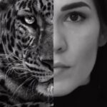 Irene Aldana Instagram – 🐆🖤

#blaclandwhite #jaguar #roar #mexicanjaguar #mma #ufc #mexico #irenealdana #teamirene