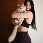 Irene Aldana Instagram – Les presento al Mashemosho .. 
El Sol de México… Orus 🌞😻 

Orus es adoptado… lo encontré muy bebé , estaba solo en la calle y en pésimas condiciones.  Ahora es un gatazo … 😎 #Adopta #adoptagatos

#mibebe #orus #cat #motherofcats #ufc #mma #irenealdana #mexico #irenealdanaonlycats #teamirene