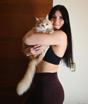 Irene Aldana Instagram - Les presento al Mashemosho .. 
El Sol de México... Orus 🌞😻 

Orus es adoptado… lo encontré muy bebé , estaba solo en la calle y en pésimas condiciones.  Ahora es un gatazo … 😎 #Adopta #adoptagatos

#mibebe #orus #cat #motherofcats #ufc #mma #irenealdana #mexico #irenealdanaonlycats #teamirene