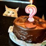 Irene Aldana Instagram – Los tíos de mis 😸
Muchas gracias @elirodriguezmma y @hoodleermtz los quieroooo mucho 
🍫🎂💛👌🏼
#segundafamilia 
#team #teammates #cake #chocolate #family #lobomma #elirodriguez #machin #birthday #ufc