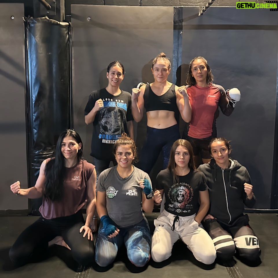 Irene Aldana - 8.3K Likes - 🙅🏻♀️💪🏼
#lobomma #girls #mma #wmma #mexico #gym