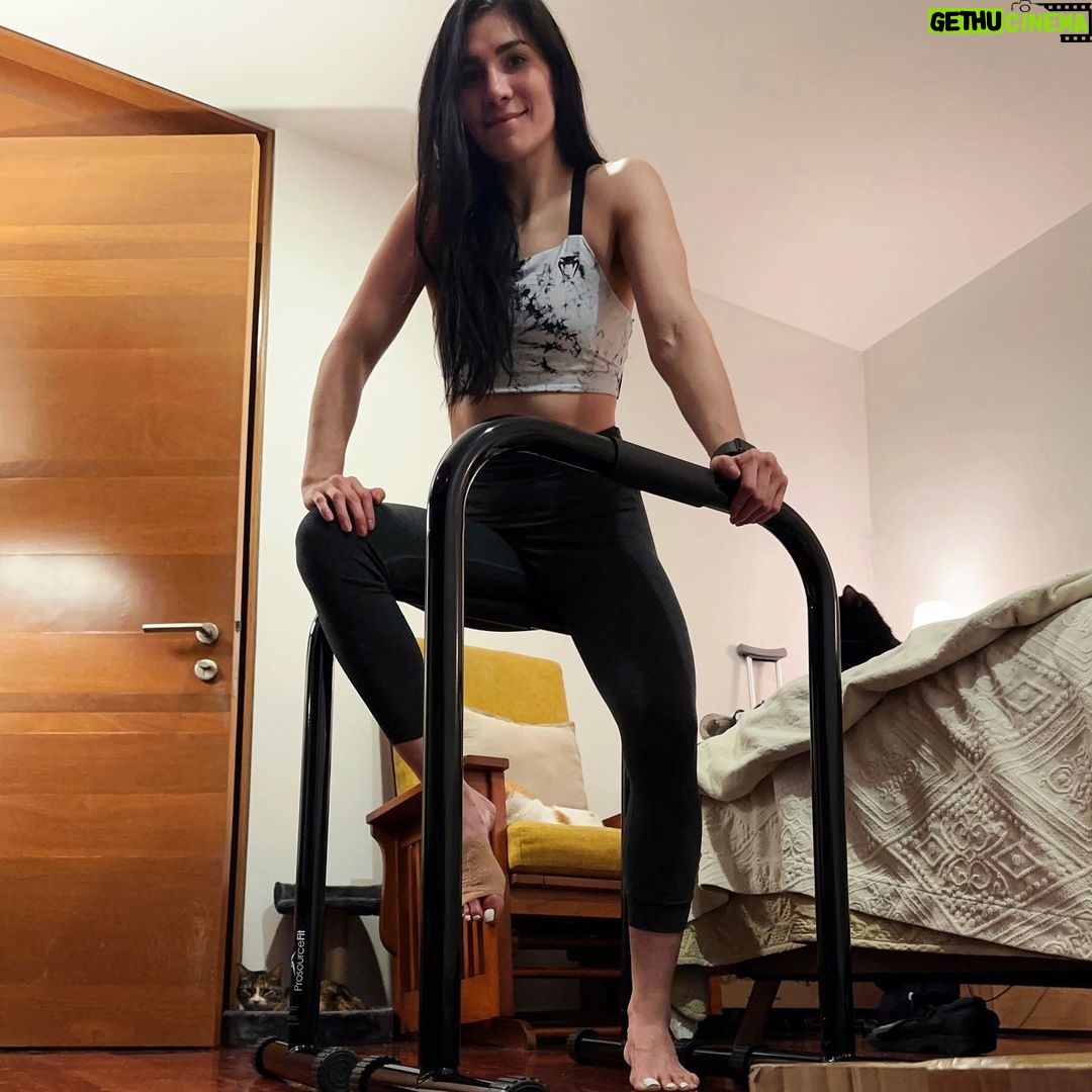 Irene Aldana - 10.7K Likes - Todavía no me dejan apoyar el pie derecho por la cirugía.. así que compré unas barras para hacer calistenia en mi cuarto…. A ver qué tal 🤪
Top : @venumstoremx
#roadtoredemption #willbeback #relentless #unstoppable #workout #postcirugia #sportmed #venum #mx
