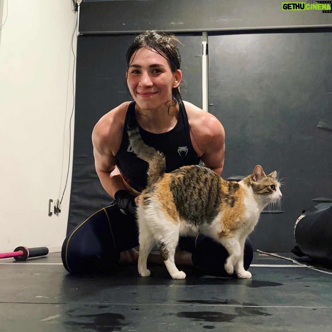 Irene Aldana - 10.5K Likes - Terminando entrenamiento con mi TeamMate 😼💪🏼
#championchiprounds #mma #ufc #ufc289 #training #mixedmartialarts #motherofcats #🐆 #teammates #teamirene #cat #irenealdanaonlycats