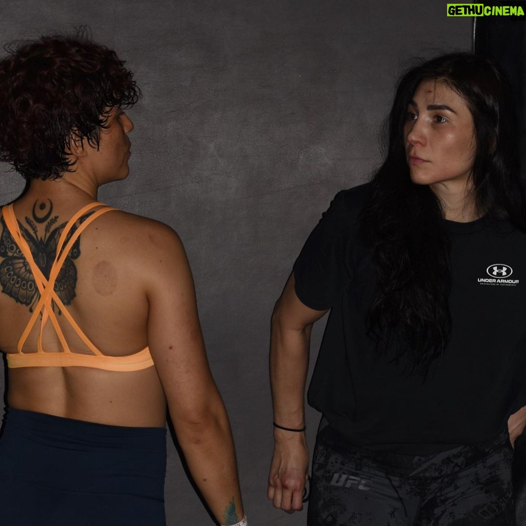 Irene Aldana Instagram - Comadreando con la @paulina.vargaz .. mientras hacemos pantorrilla… Nuestro tema principal suele ser el queso🧀🫶🏼… #pau #lobomma #gym #team #teammate #mexico #ufc289 #workout #mmalife Lobo Gym Mma