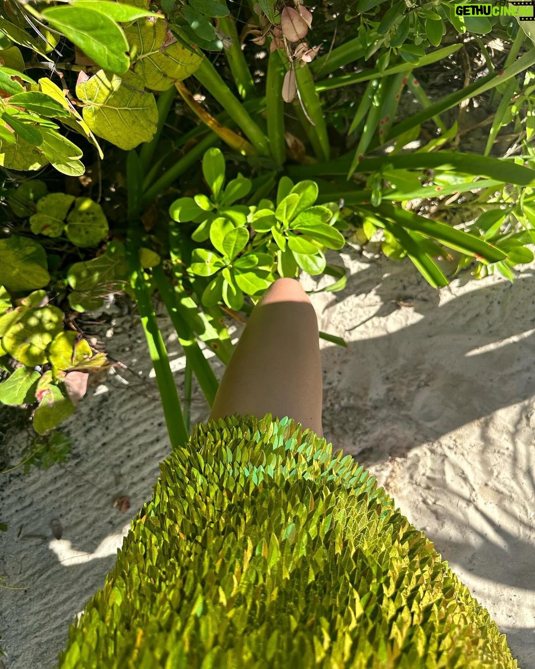 Irina Shayk Instagram - The morning of 2024💚🐉