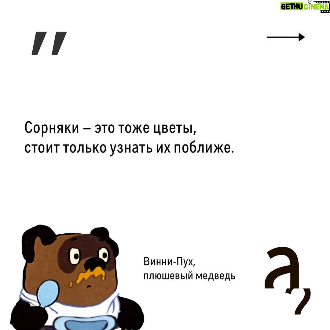 Irina Shikhman Instagram - Наша новогодняя история о том, как плюшевые медведи завоевали сердца взрослых мальчиков и девочек по всему миру по ссылке в сториз. Там же парад других новогодних историй, чтобы было легче пережить эти хмурые дни. НАСТОЯЩИЙ МАТЕРИАЛ (ИНФОРМАЦИЯ) ПРОИЗВЕДЕН И (ИЛИ) РАСПРОСТРАНЕН ИНОСТРАННЫМ АГЕНТОМ РФ ИРИНОЙ ЮРЬЕВНОЙ ШИХМАН ЛИБО КАСАЕТСЯ ДЕЯТЕЛЬНОСТИ ИНОСТРАННОГО АГЕНТА РФ ИРИНЫ ЮРЬЕВНЫ ШИХМАН