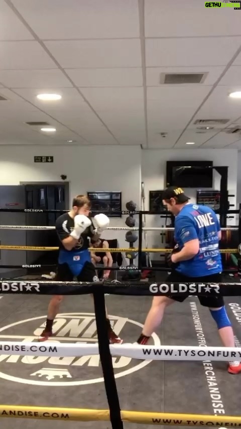Isaac Lowe - 405 Likes - A good #Wednesday #done in the gym head down working always #newssoontocome #teamlowe #boxing #2023 #tranining big shout @goldstar.promotions @wowhydrate @havenfort_homes @andyboothy @jamesmcmillan78 @spencerbrownmrgoldstar @jimmyjamesharrington @sauerlandbros #bigyear 👊👊💯💯💥💥
