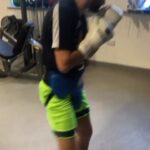 Isaac Lowe Instagram - Steady away in camp good days work in with the team #boxing #training . #teamlowe #planing #whatsnext 👊👊👀👀👀💥💯 #2023 @jimmyjamesharrington @wowhydrate @havenfort_homes @goldstar.promotions @allsoppandallsopp