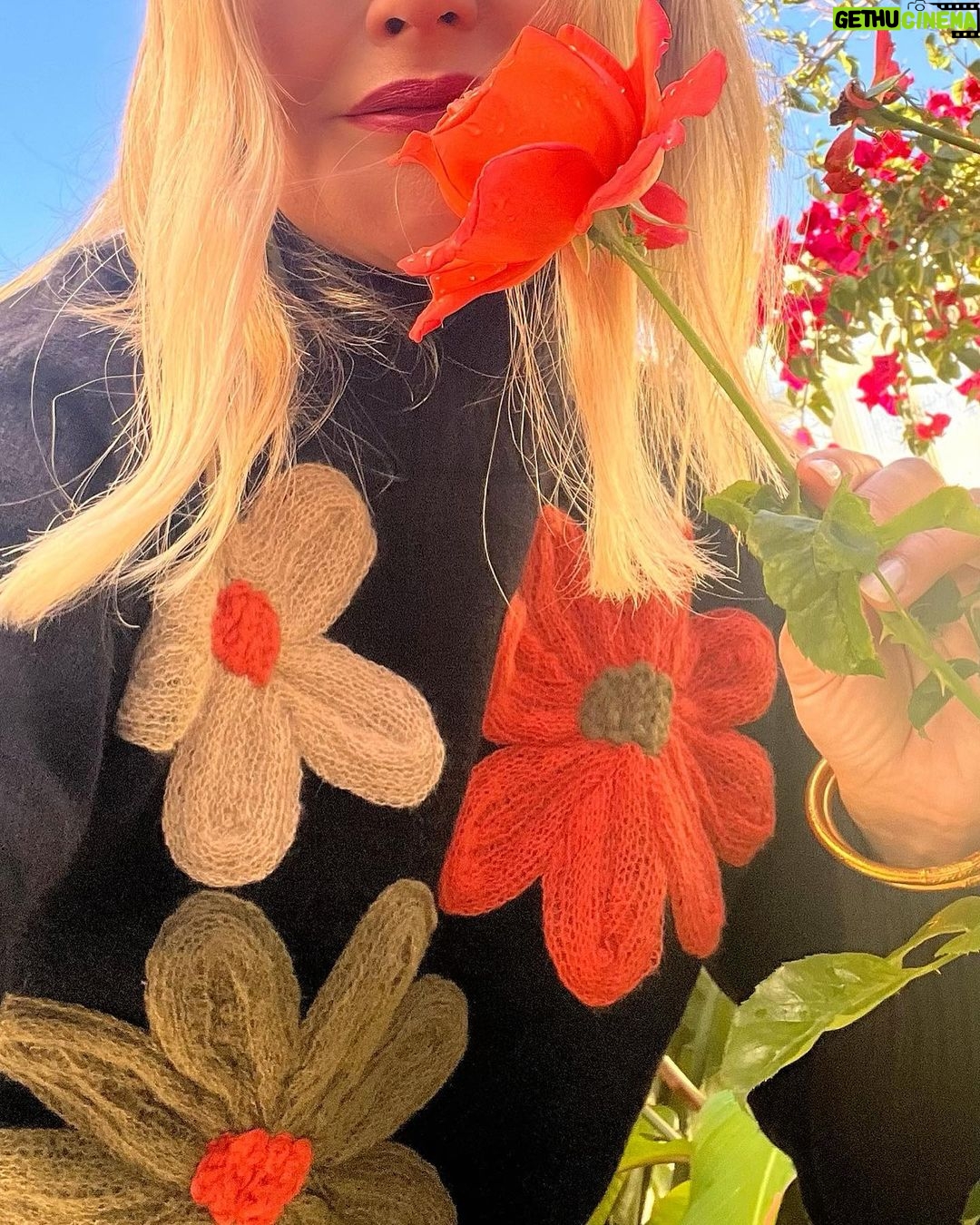 Isabel Angelino - 1K Likes - Please Please Don’t Eat The Daisies 🌼 blusa @virgencita_acessorios