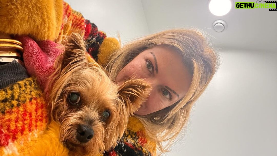 Isabel Angelino Instagram - Ainda estamos no @anicura_restelohospvet e ( com o coração de mãe apertado ) queremos agradecer o carinho e profissionalismo de toda a equipa 🙏🐶 #surymydog AniCura Restelo Hospital Veterinário