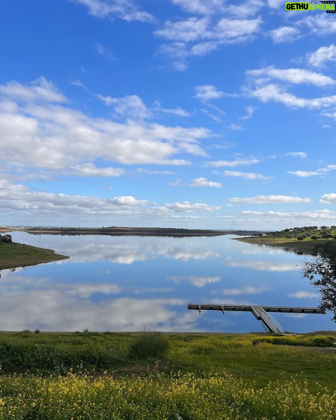 Isabel Angelino Instagram - O meu Alentejo 💙💚 #portugal #alentejo Campinho, Evora, Portugal