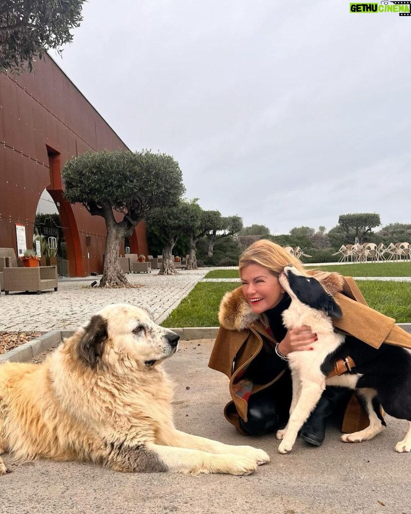 Isabel Angelino Instagram - Fiz novos amigos na @sharish_gin 🐶🐶 #ilovedogs #dogslover Reguengos de Monsaraz