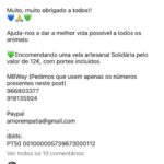 Isabel Angelino Instagram - A @amorempatiaong um santuário animal de proteção e reabilitação que resgata animais vítimas de maus-tratos , que são entregues porque os donos já não podem cuidar deles ou ainda na eminência de serem abatidos . Eu já visitei em trabalho este espaço que se percebe está repleto de amor por animais . Mas esta ONG precisa de ajuda para alimentar todos estes animais que assim conseguem ter a dignidade que lhes è merecida , alguns já nos últimos anos de vida . Se arrastarem o carrossel de fotos vão conseguir encontrar os números para onde poderão contribuir nem que seja com 1€ . 🙏