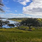 Isabel Angelino Instagram - O meu Alentejo 💙💚 #portugal #alentejo Campinho, Evora, Portugal