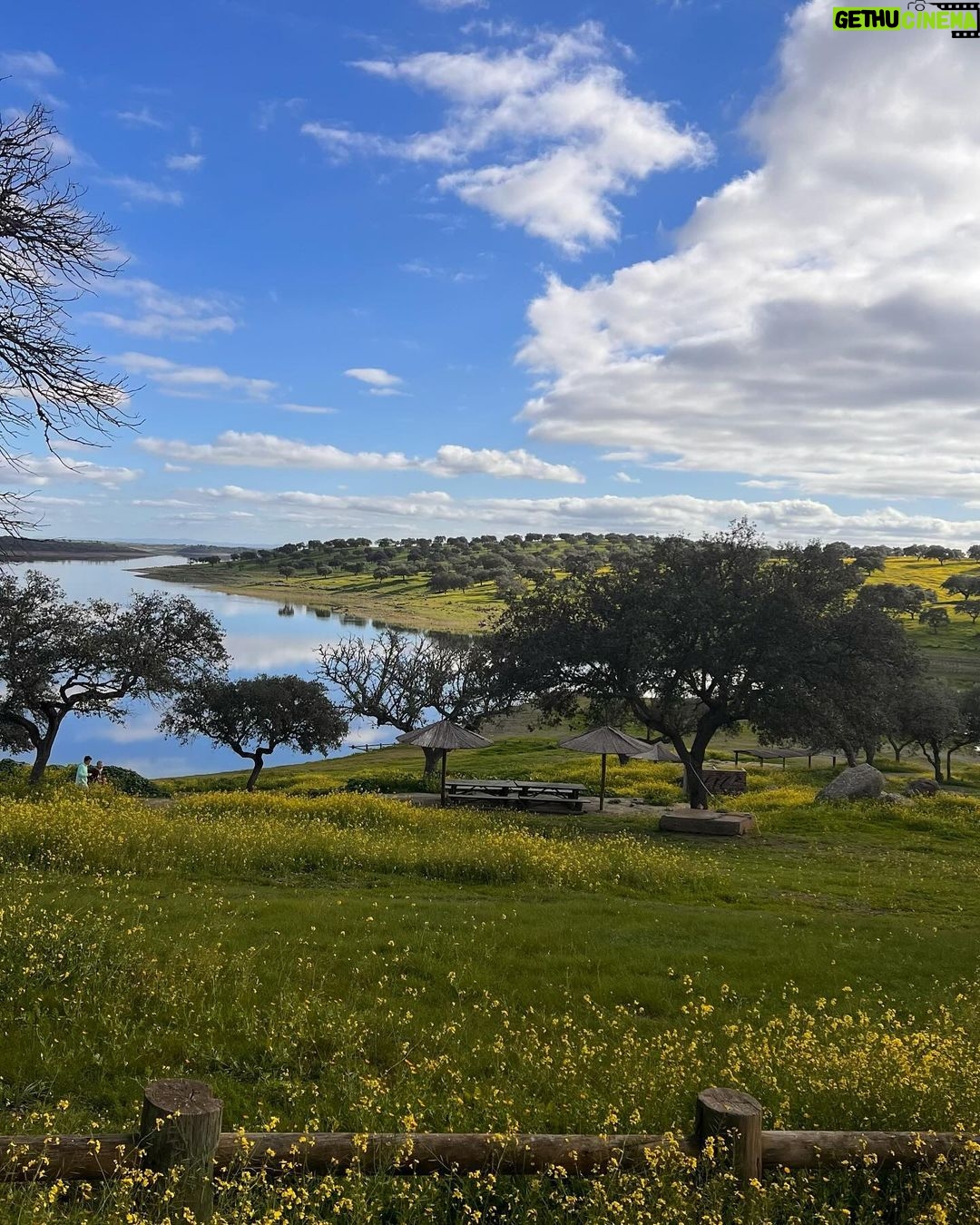 Isabel Angelino Instagram - O meu Alentejo 💙💚 #portugal #alentejo Campinho, Evora, Portugal