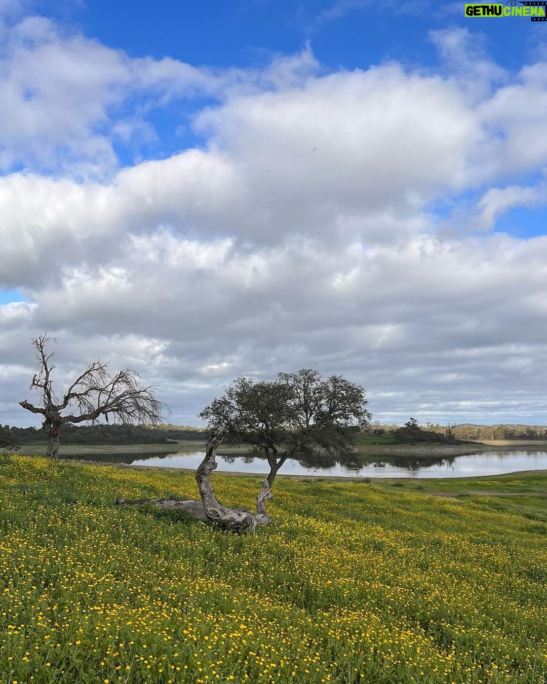 Isabel Angelino Instagram - O meu Alentejo 💙💚 #portugal #alentejo Campinho, Evora, Portugal