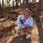 Isabel Angelino Instagram - A @amorempatiaong um santuário animal de proteção e reabilitação que resgata animais vítimas de maus-tratos , que são entregues porque os donos já não podem cuidar deles ou ainda na eminência de serem abatidos . Eu já visitei em trabalho este espaço que se percebe está repleto de amor por animais . Mas esta ONG precisa de ajuda para alimentar todos estes animais que assim conseguem ter a dignidade que lhes è merecida , alguns já nos últimos anos de vida . Se arrastarem o carrossel de fotos vão conseguir encontrar os números para onde poderão contribuir nem que seja com 1€ . 🙏