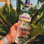 Ivo Arakov Instagram - Към лятното чудо разнообразявам с коктейлите на Gordon’s Gin по проста майсторска рецепта: •Добро настроение •50 мл джин •150 мл тоник •Резен лайм за декорация 🍋🌴 Sunny Beach