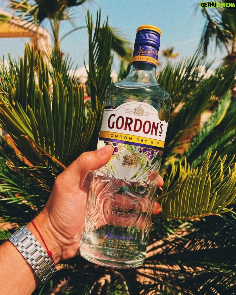 Ivo Arakov Instagram - Към лятното чудо разнообразявам с коктейлите на Gordon’s Gin по проста майсторска рецепта: •Добро настроение •50 мл джин •150 мл тоник •Резен лайм за декорация 🍋🌴 Sunny Beach