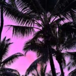 Izabelle Leite Instagram - slow living 💜🌸🧿🏝️👯‍♀️⛱️🛶🥥 no filter 🧚🏻‍♀️
