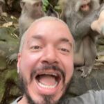 J Balvin Instagram - Que me pongo pa la mordida ?que no me pase la del hombre araña ? 😂🐒😂🐒😂🐒😂🐒😂🐒😂🐒😂🐒😂🐒 El altísima !! Sonríe 😃 Monkey Forest Ubud