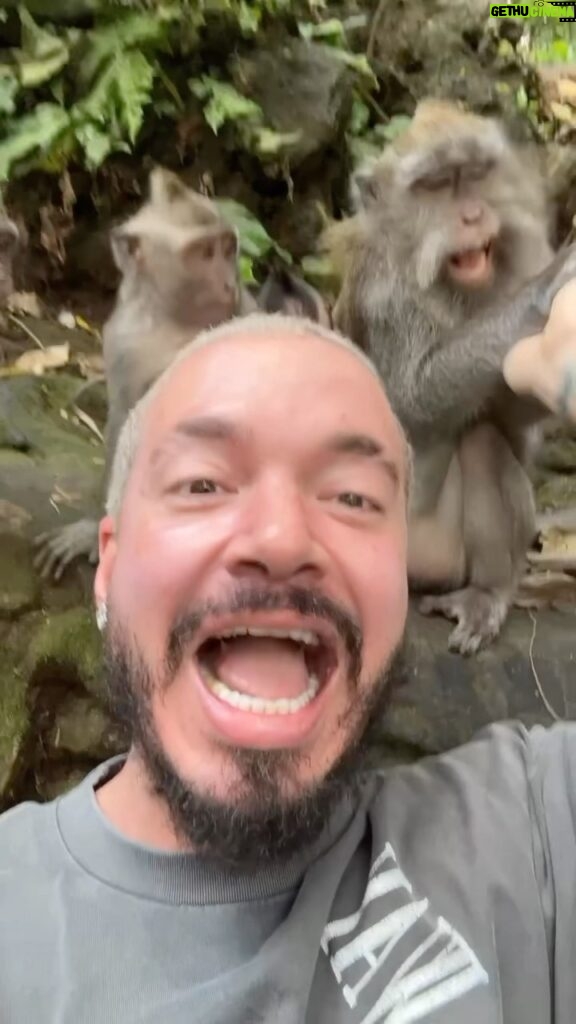 J Balvin Instagram - Que me pongo pa la mordida ?que no me pase la del hombre araña ? 😂🐒😂🐒😂🐒😂🐒😂🐒😂🐒😂🐒😂🐒 El altísima !! Sonríe 😃 Monkey Forest Ubud