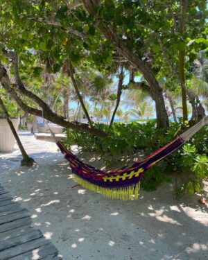 Jade Ramsey Instagram - Tulum snaps 🦩🐚🌴 @posadalamartulum