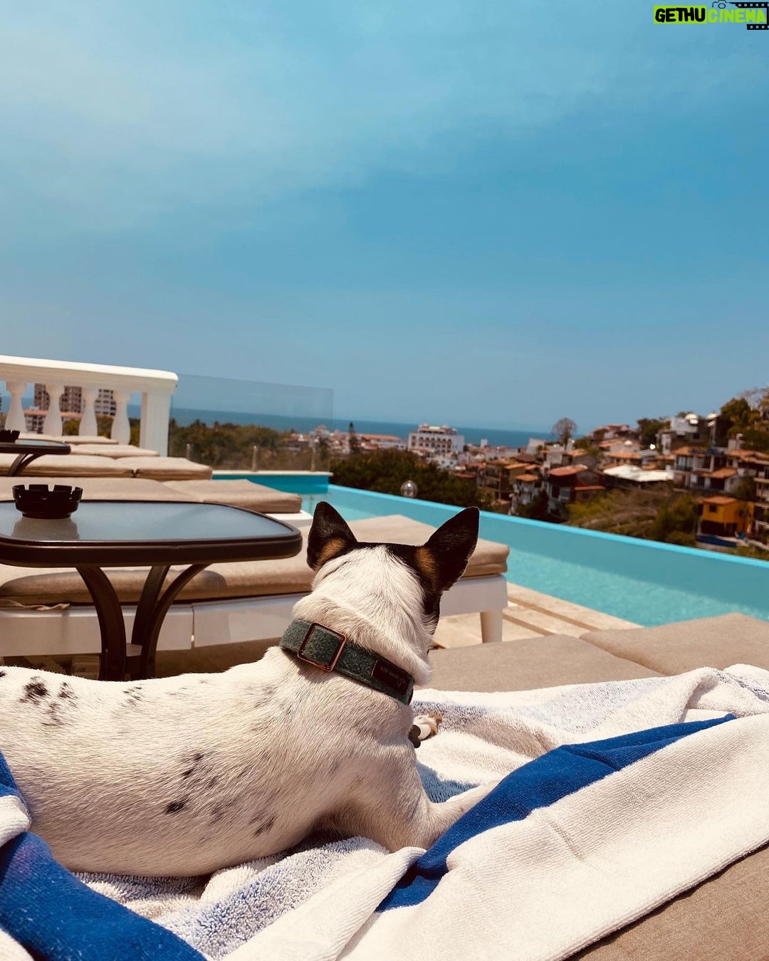 Jade Ramsey Instagram - Holiday snaps 📸 @riveradelrio Rivera Del Rio