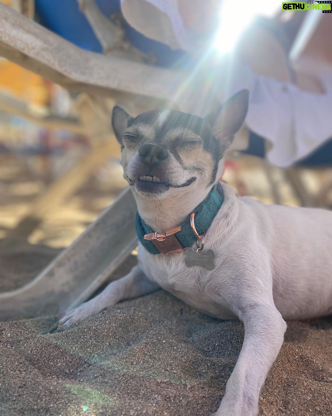 Jade Ramsey Instagram - 🥑🌶️ 🇲🇽 Parque Alegre AC