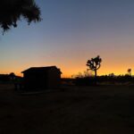 Jade Ramsey Instagram - 🤠🌵🏜 Joshua Tree Desert