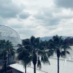 Jade Ramsey Instagram - it rained… i went to a museum… i ate Indian food.. pretty 🇬🇧 sorta day… 🌧🪞🖤 LACMA Los Angeles County Museum of Art
