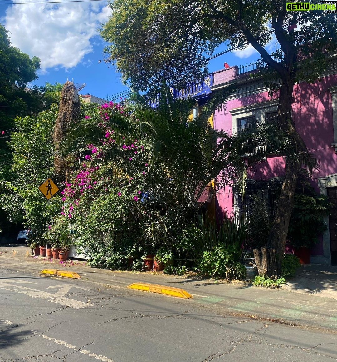 Jade Ramsey Instagram - (The other week)…24 hours in Mexico City. Def need to go back to try allllll the restaurants…. 🌶️🇲🇽🌮 Mexico City, Mexico