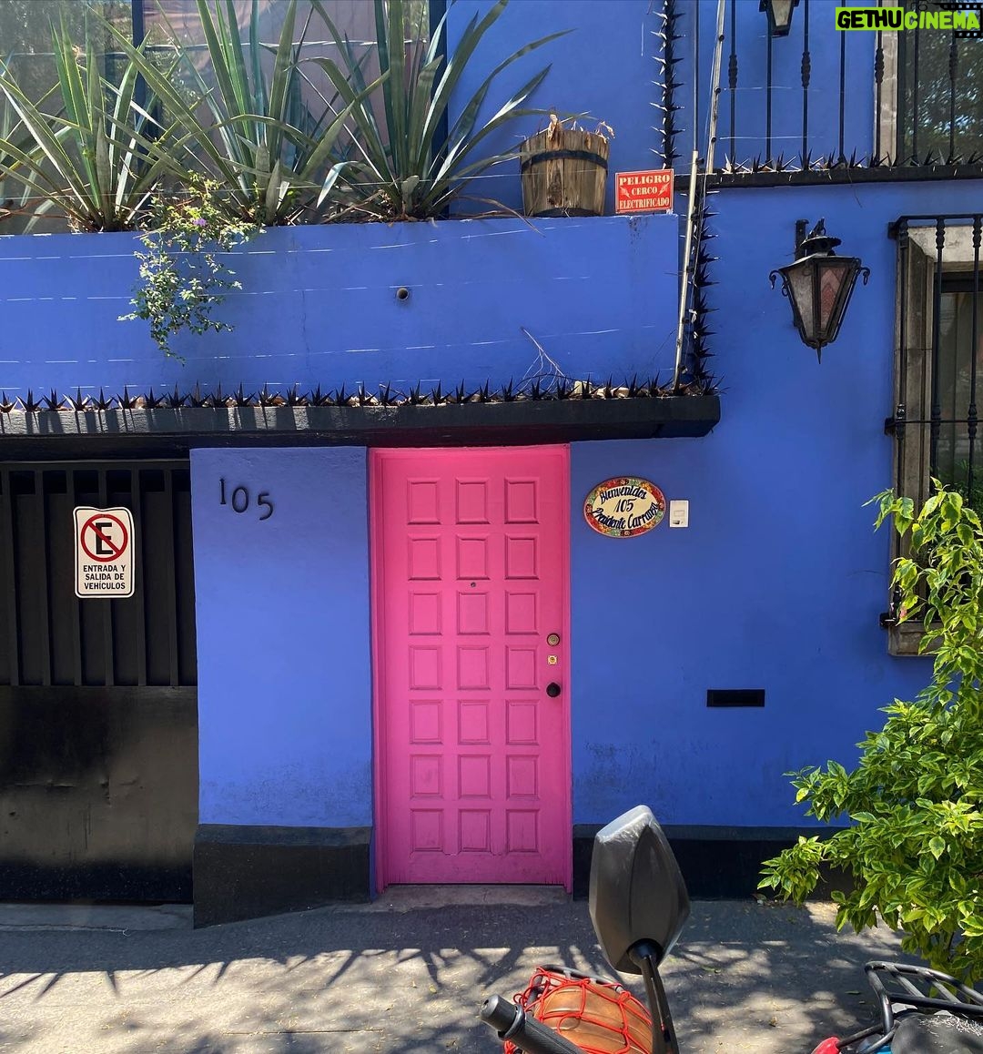 Jade Ramsey Instagram - (The other week)…24 hours in Mexico City. Def need to go back to try allllll the restaurants…. 🌶️🇲🇽🌮 Mexico City, Mexico